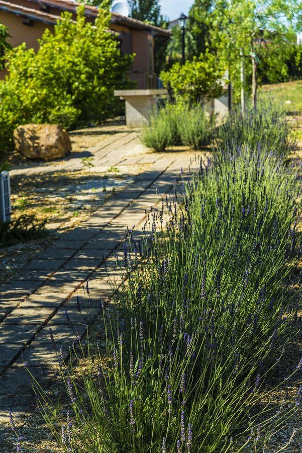 Agriturismo Poggio Di Maremma Pescia Romana Kültér fotó